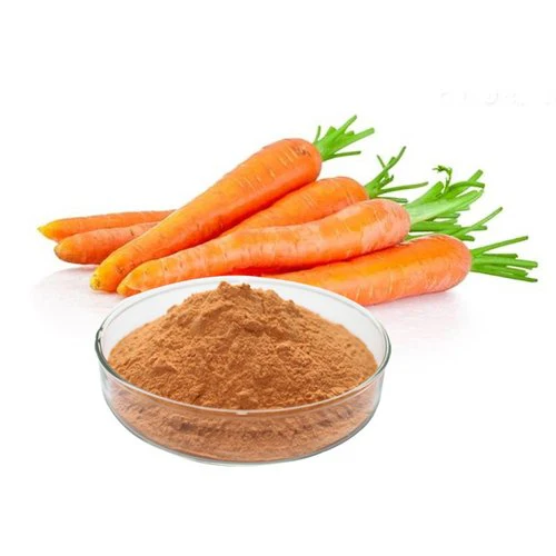 Vegetable Powder - Carrot Powder Export